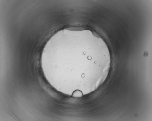 X0000113090065200910091307