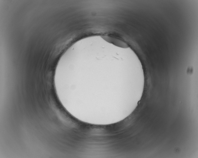 X0000113090066200910091307