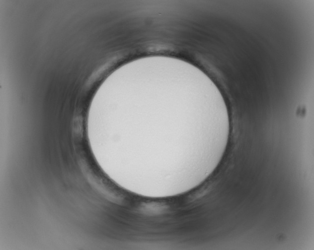 X0000113090067200910091307