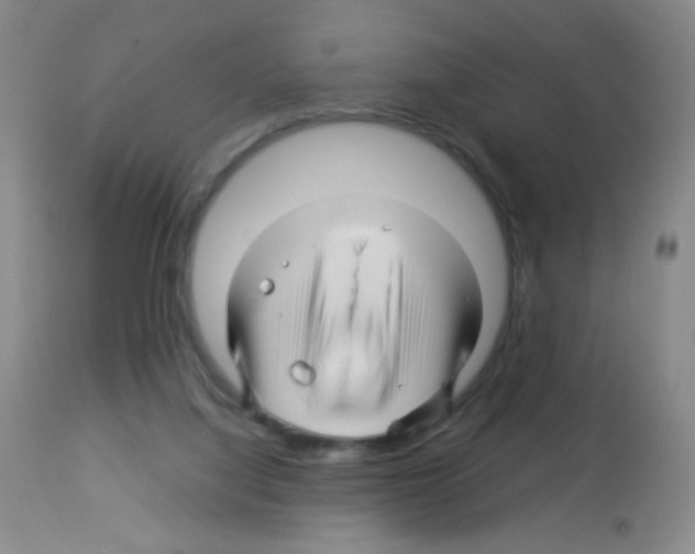 X0000113090068200910091307