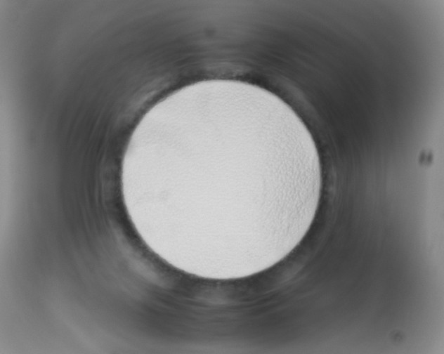 X0000113090071200910091307