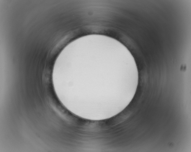 X0000113090072200910091307