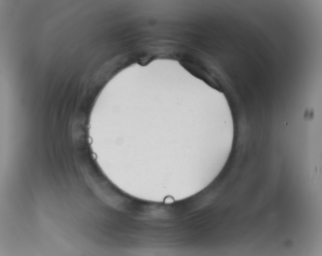 X0000113090073200910091307