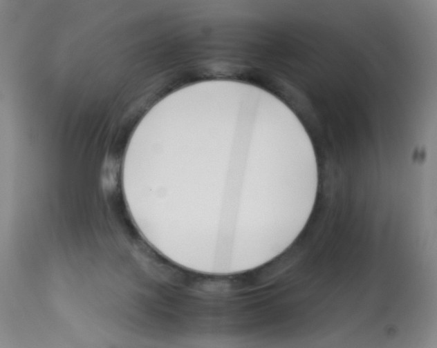X0000113090075200910091307
