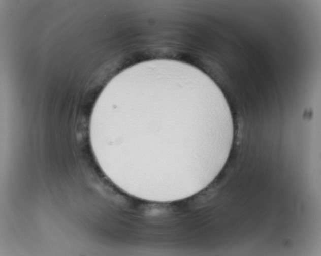 X0000113090077200910091307