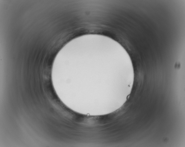 X0000113090078200910091307
