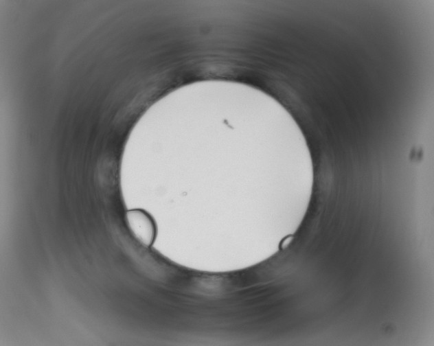 X0000113090079200910091307