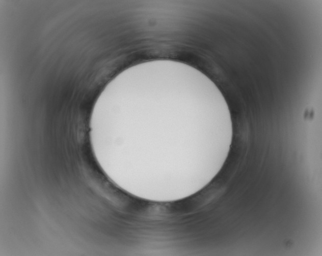 X0000113090080200910091307
