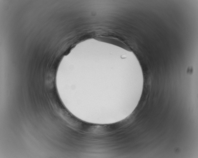 X0000113090082200910091307