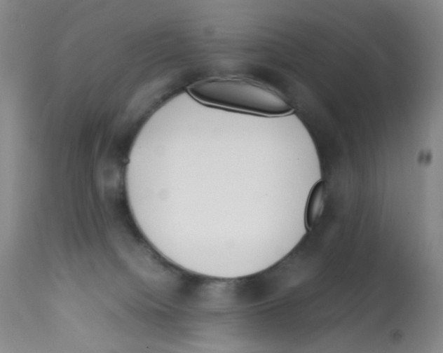 X0000113090084200910091307