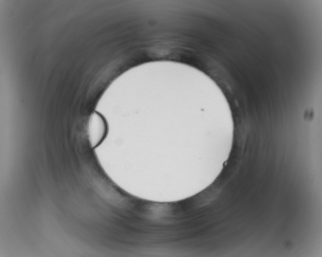 X0000113090085200910091307