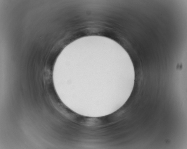 X0000113090087200910091307