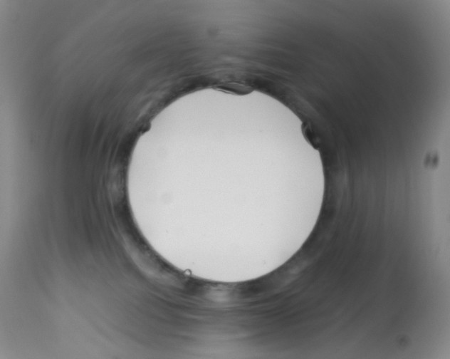 X0000113090088200910091307