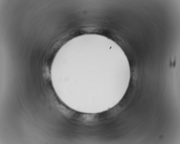 X0000113090089200910091307