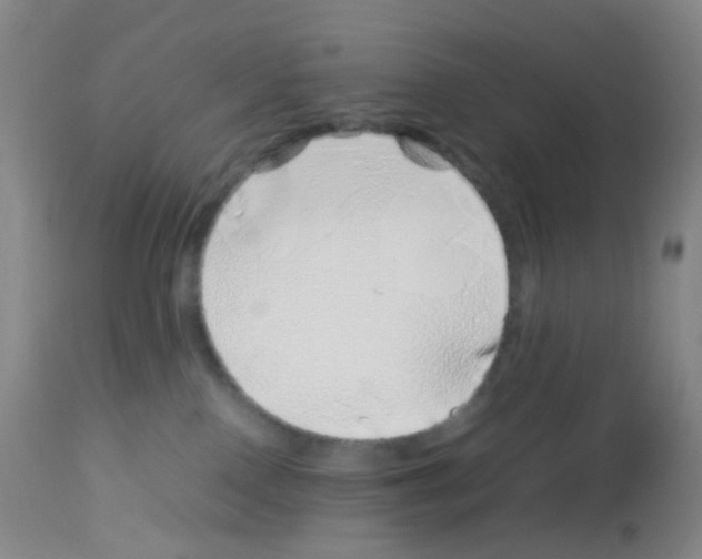 X0000113090090200910091307