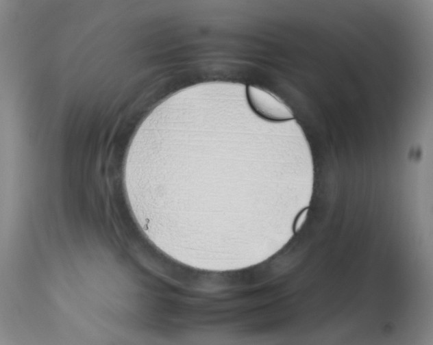 X0000113090091200910091307