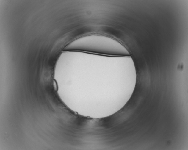 X0000113090092200910091307