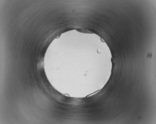 X0000113090095200910091307