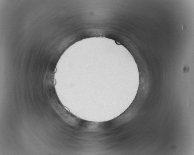 X0000113090096200910091307