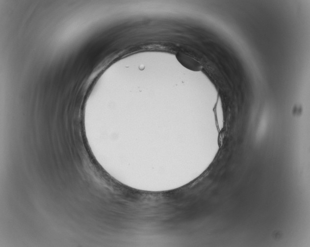 X0000113090099200910091307
