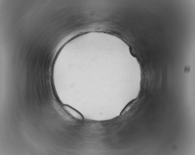 X0000113090100200910091307