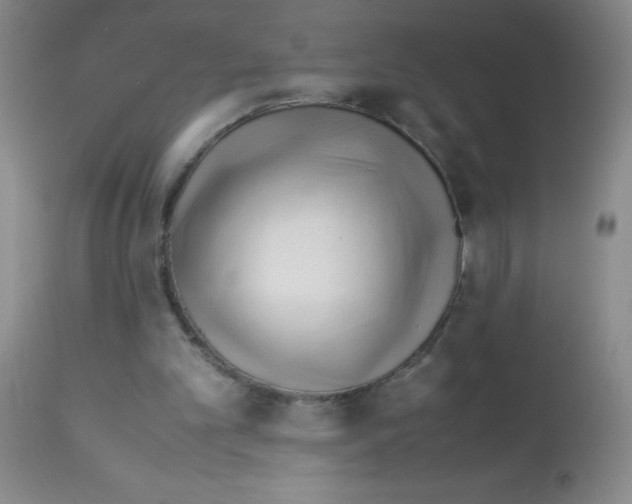 X0000113090101200910091307