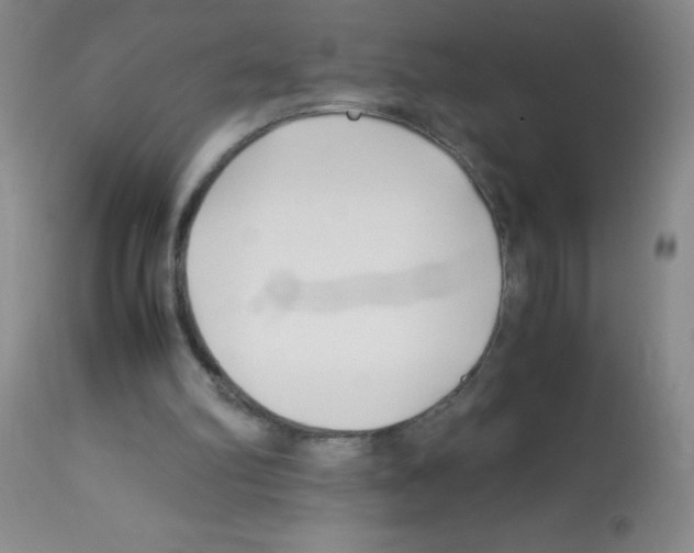 X0000113090102200910091307