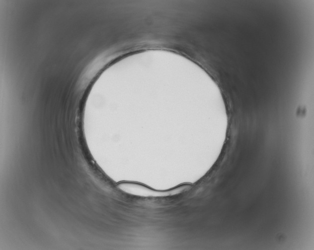 X0000113090103200910091307