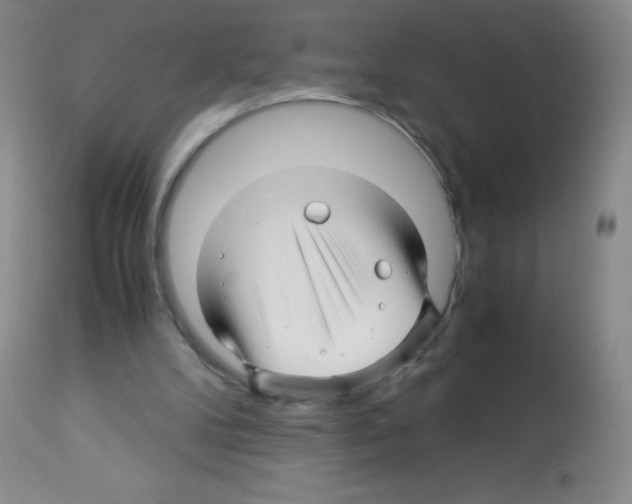 X0000113090104200910091307