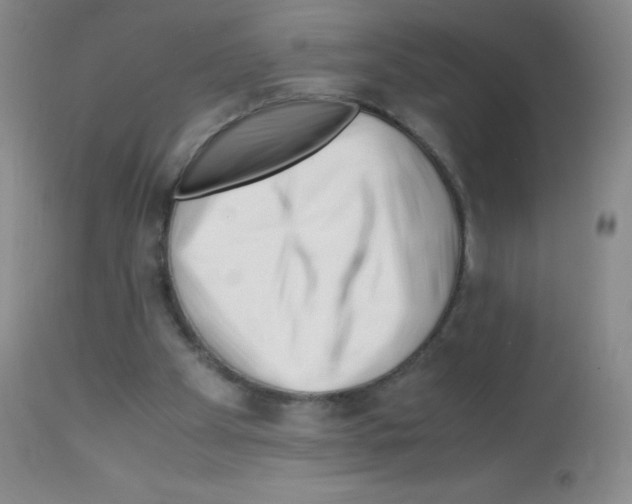 X0000113090105200910091307