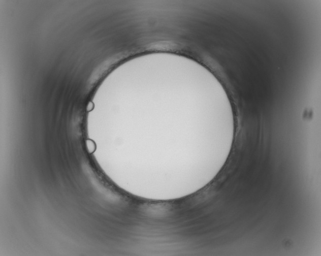 X0000113090106200910091307
