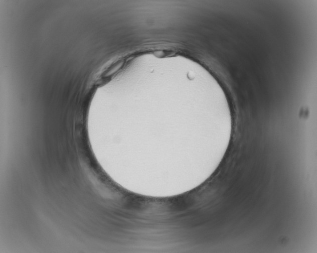 X0000113090107200910091307