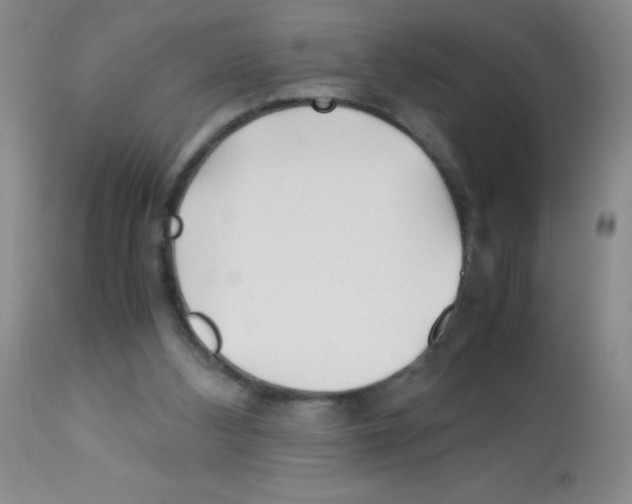 X0000113090108200910091306