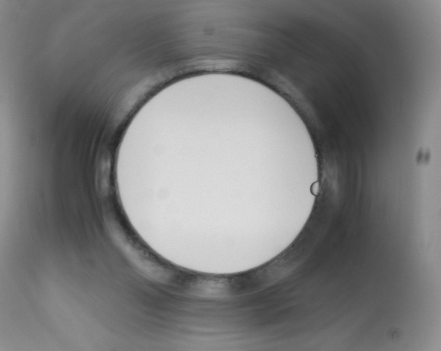 X0000113090110200910091306