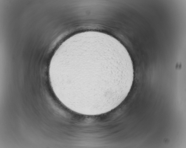 X0000113090111200910091306