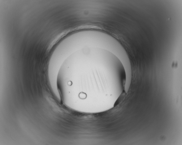 X0000113090112200910091306