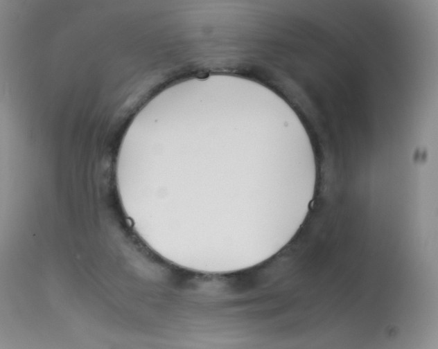 X0000113090113200910091306