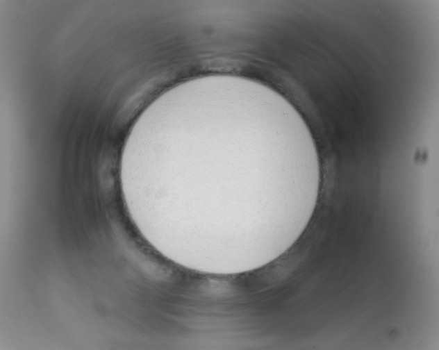 X0000113090114200910091306