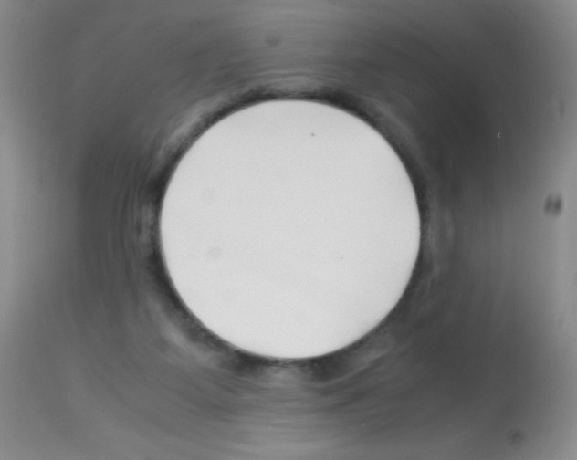 X0000113090115200910091306
