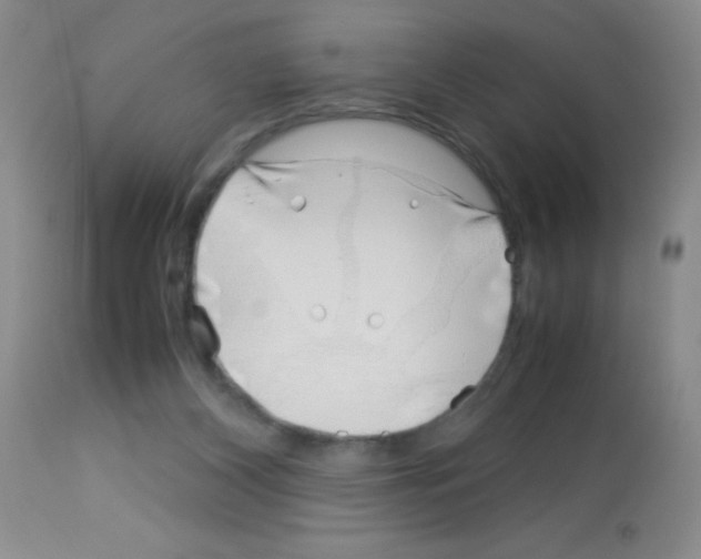 X0000113090116200910091306