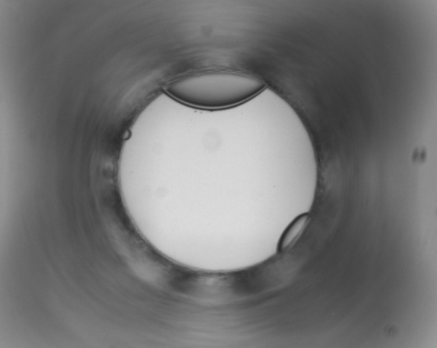X0000113090117200910091306
