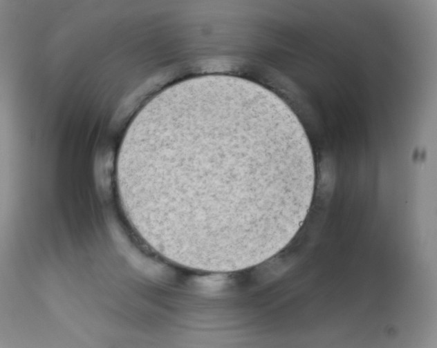 X0000113090118200910091306