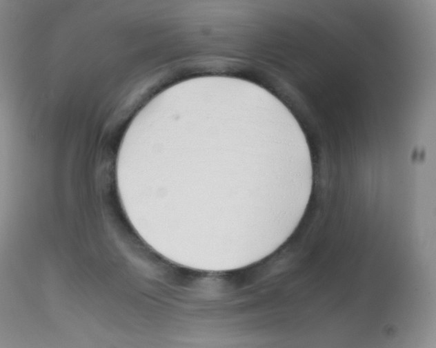 X0000113090119200910091306