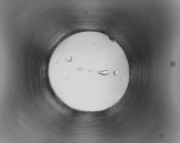 X0000113090120200910091306