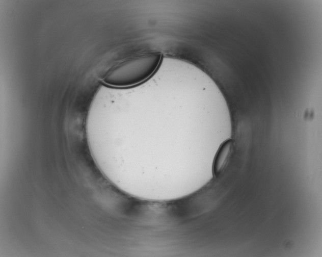X0000113090121200910091306