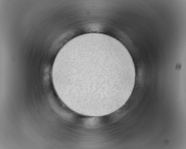 X0000113090122200910091306