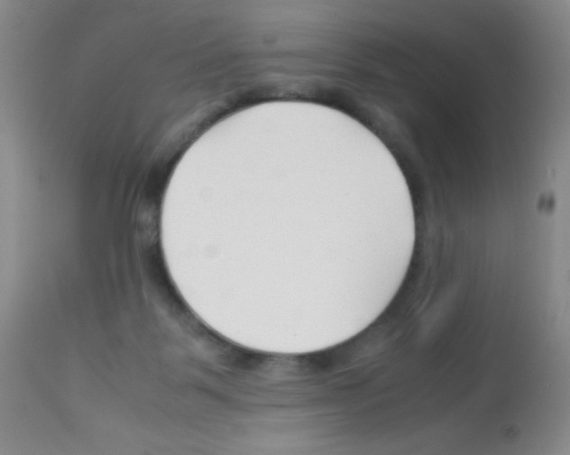 X0000113090123200910091306