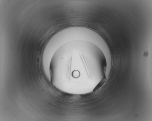 X0000113090124200910091306