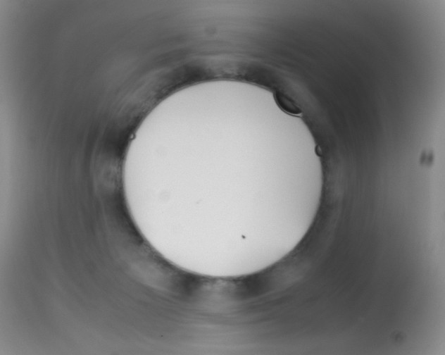 X0000113090125200910091306