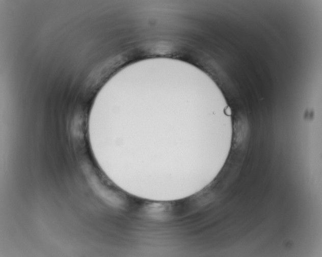 X0000113090126200910091306